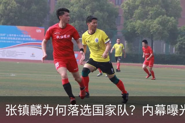 张镇麟为何落选国家队？内幕曝光，叫人心疼，郭士强并没放弃他